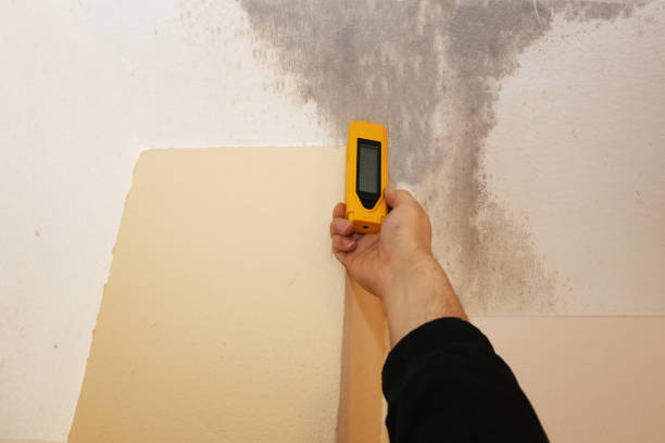 Best Forensic Mold Investigation  in Boiling Springs, NC
