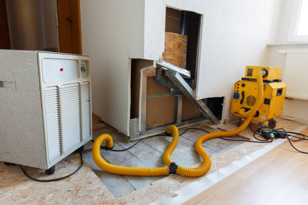 Best Mold Damage Restoration  in Boiling Springs, NC